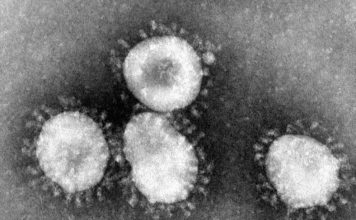 OMS declara alerta mundial por rápida propagación de coronavirus