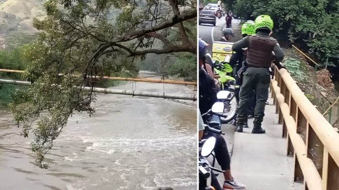 Cuerpo sin vida cuerpo sin vida