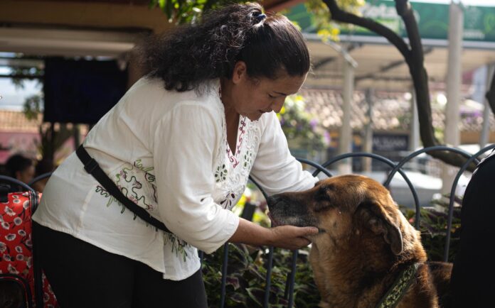 Girardota realizará jornada gratuita