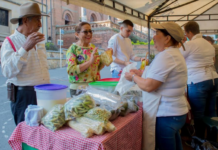 Agroverde en Girardota