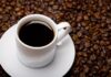 Tu café puede ser el mejor del Norte