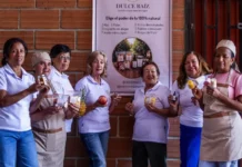 ¡Del campo a la mesa! Ocho mujeres de Girardota convirtieron sus cosechas en un emprendimiento ¡Del campo a la mesa! Ocho mujeres de Girardota